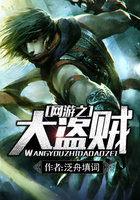 网游之大盗贼