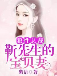 误惹总裁:靳先生的宝贝妻