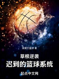 草根逆袭:迟到的篮球系统